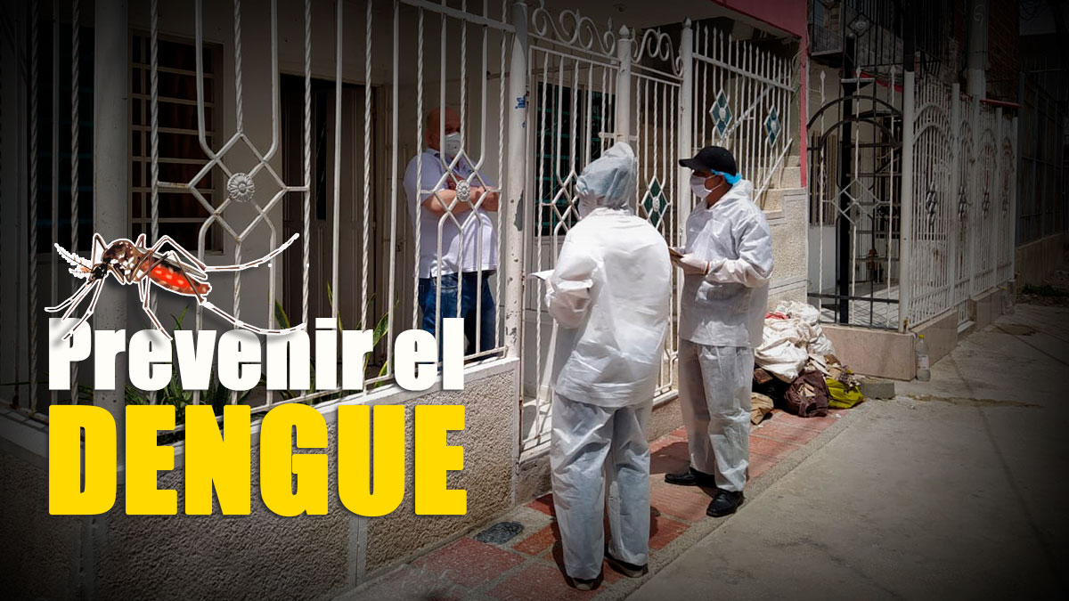 prevenir dengue