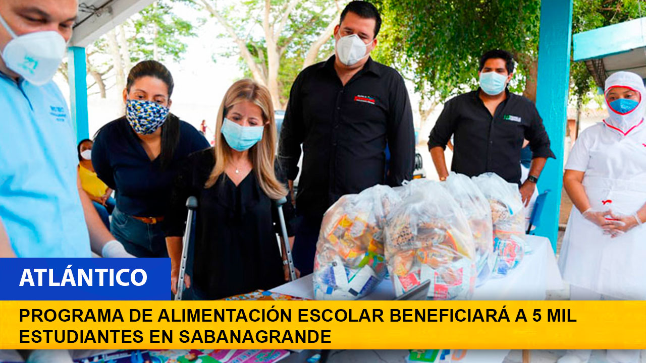 ayudas discapacitados