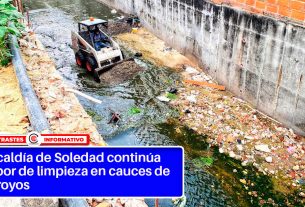 limpieza arroyos soledad