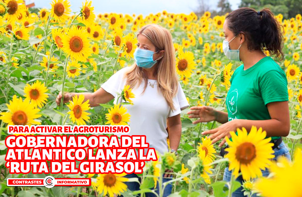 ruta girasol