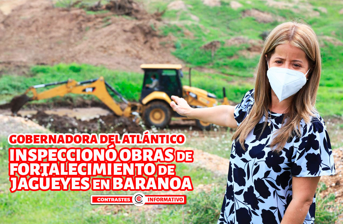 inspeccion jagueyes