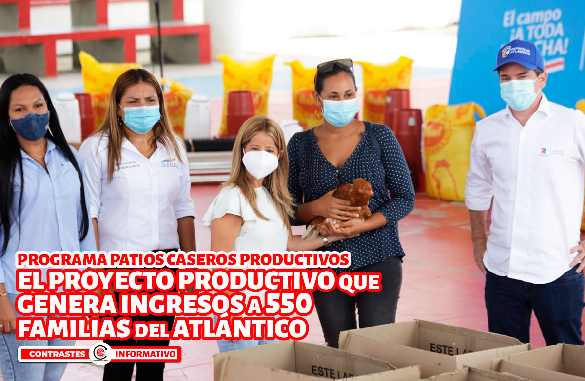 patios productivos