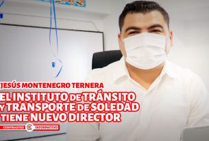 ternera transito