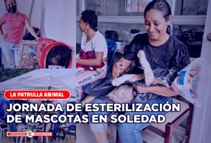 esterilizacion mascotas mayo