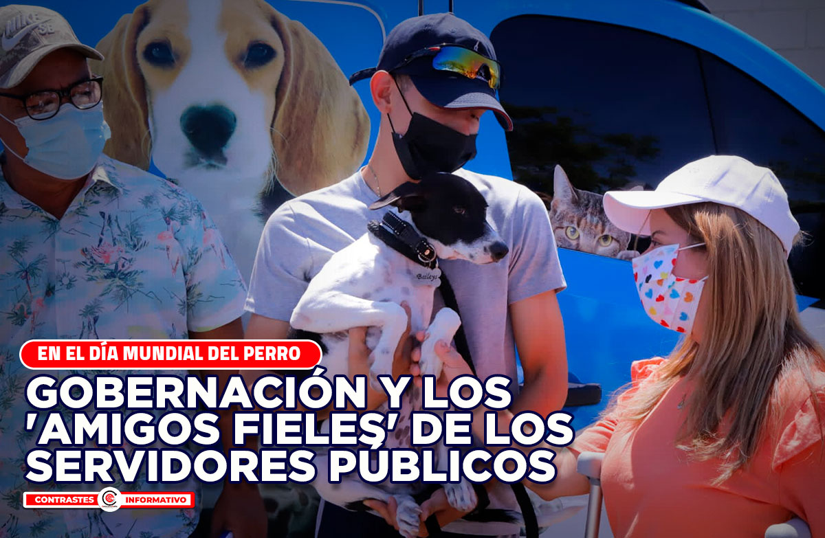 dia mundial del perro