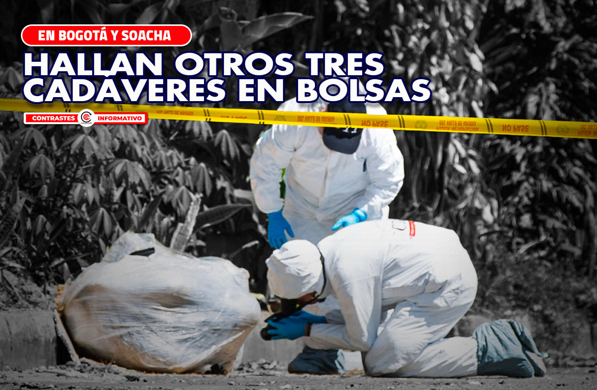 3cadaveres en bolsas