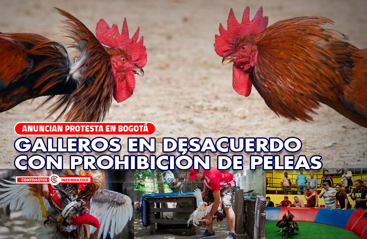 galleros atlantico