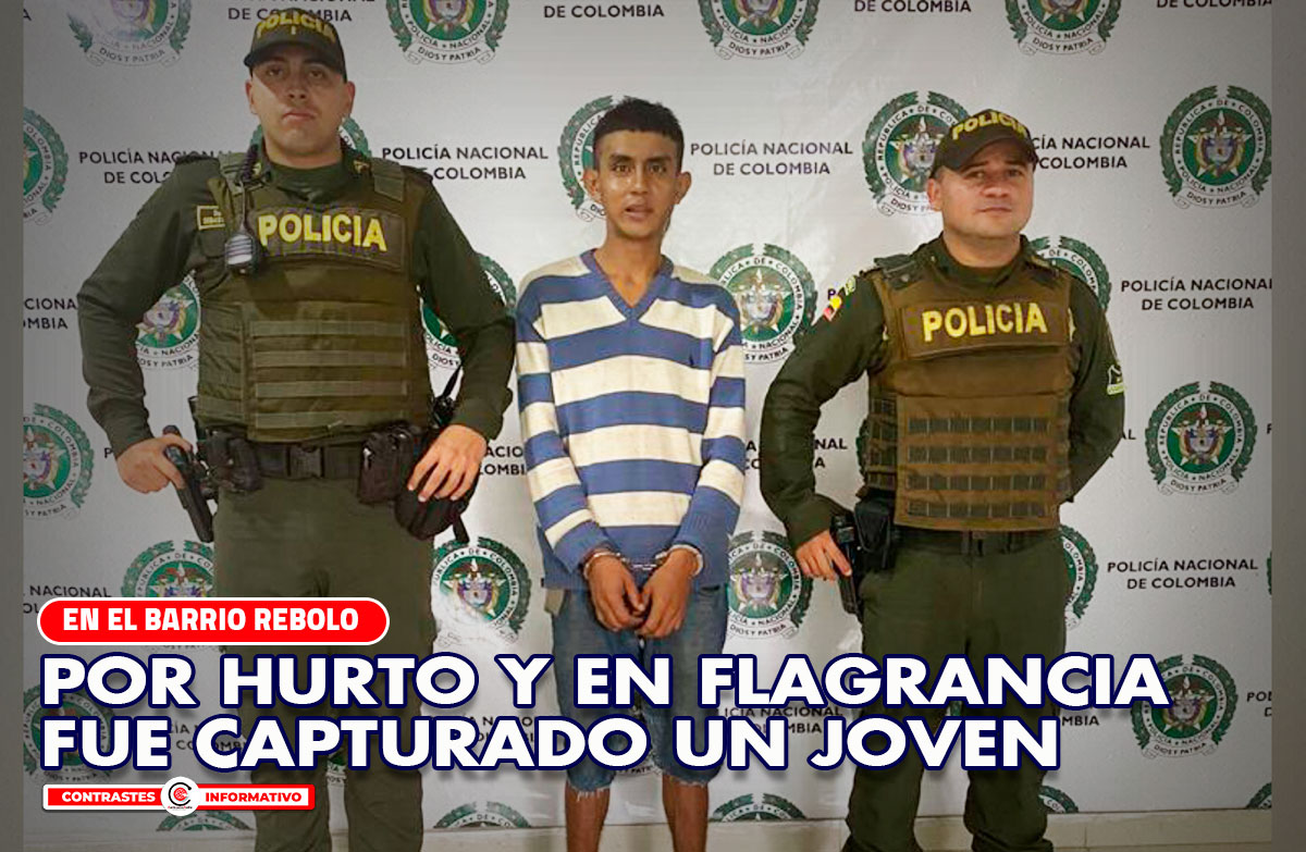 rebolo robo