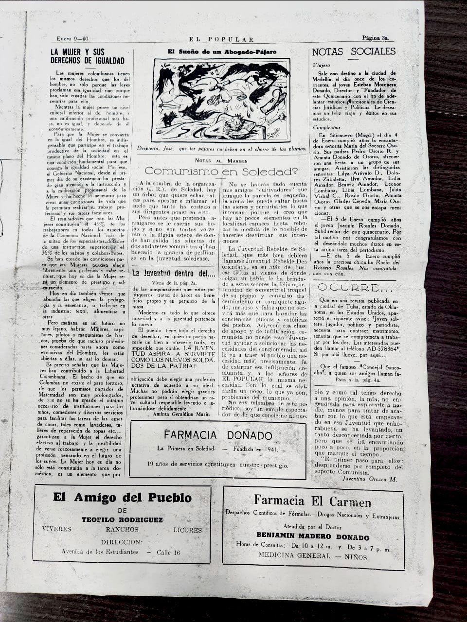 pagina 3