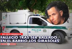 baleado girasoles murio