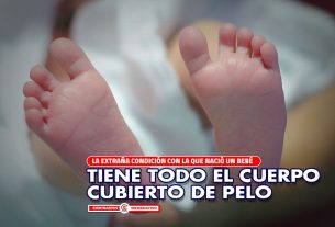 bebe pies